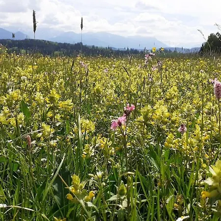 I Ostallgaeu Сasa de vacaciones Lechbruck